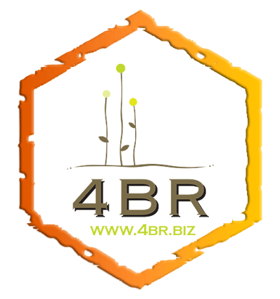 4BR-1