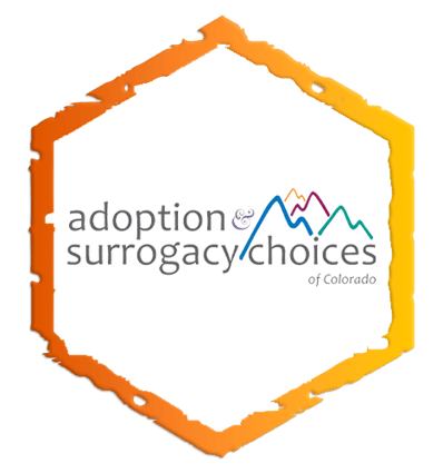 Adoption Choices Case Study