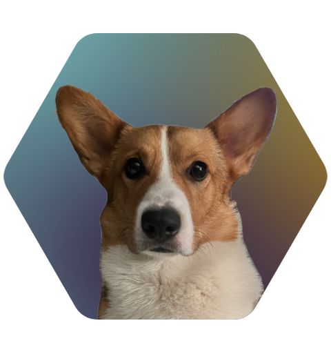 Blaze_RJ