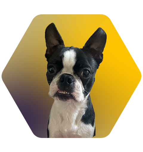 Hank_Becky