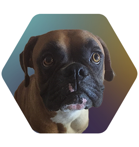 Tyson_RJ
